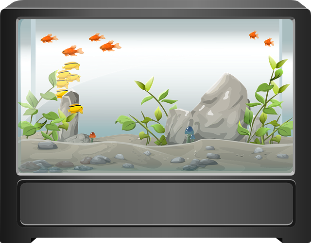 akvárium ilustrace